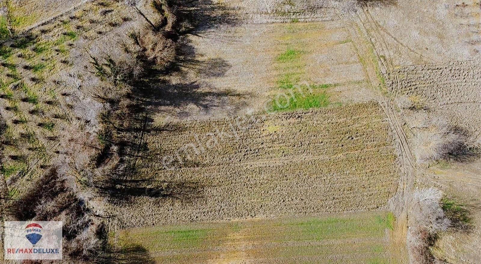 Kandıra Şerefsungurda Satılık 2626m2 Parsel