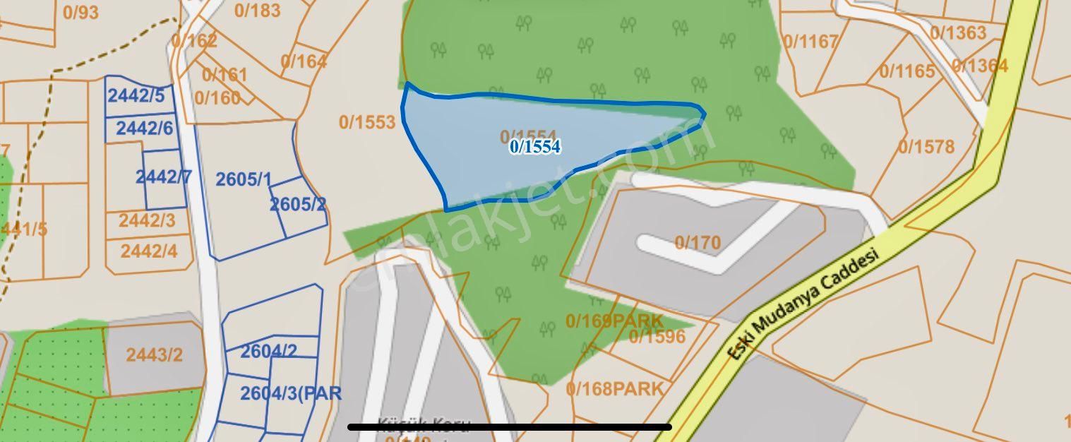 Bademlide Villalara Sınır Planda 30 Metre Yola Cepheli 7.200 M2 - Görsel 5