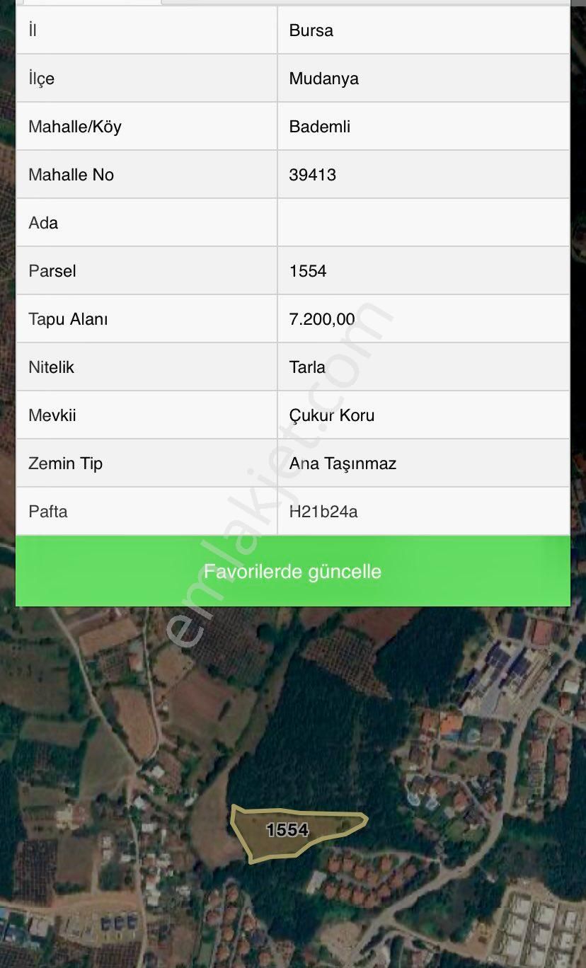 Bademlide Villalara Sınır Planda 30 Metre Yola Cepheli 7.200 M2 - Görsel 8