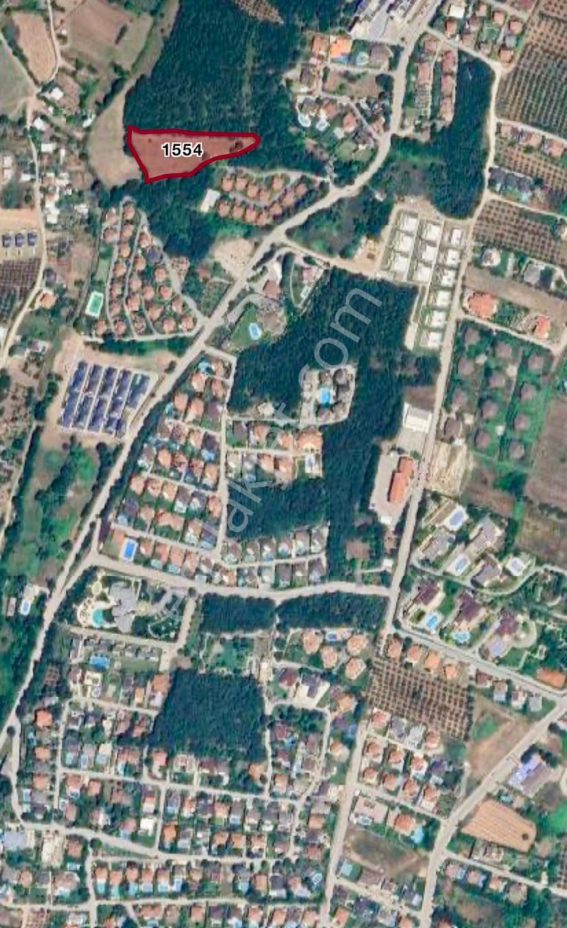 Bademlide Villalara Sınır Planda 30 Metre Yola Cepheli 7.200 M2 - Görsel 9