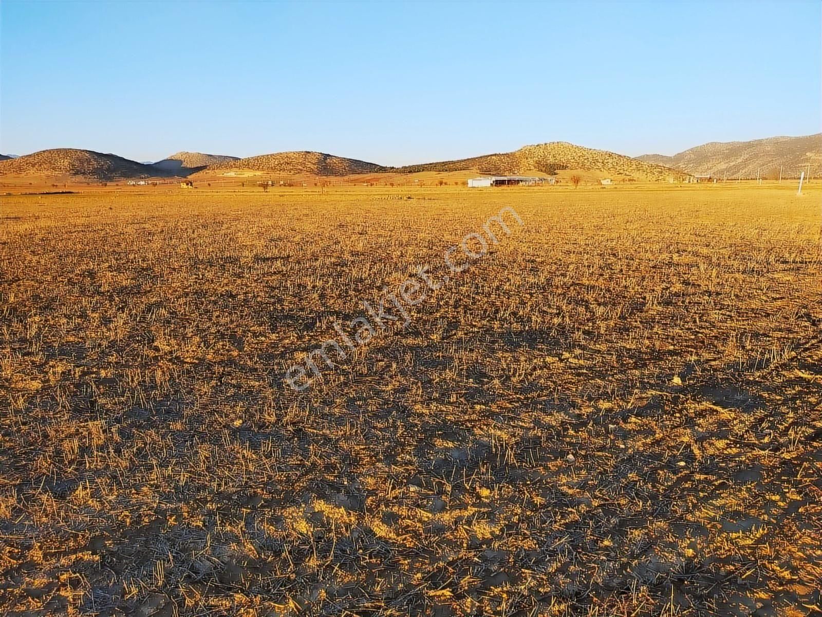 Antalya Korkuteli Büyükköyde Satılık Tarla 7700 M2 - Görsel 22