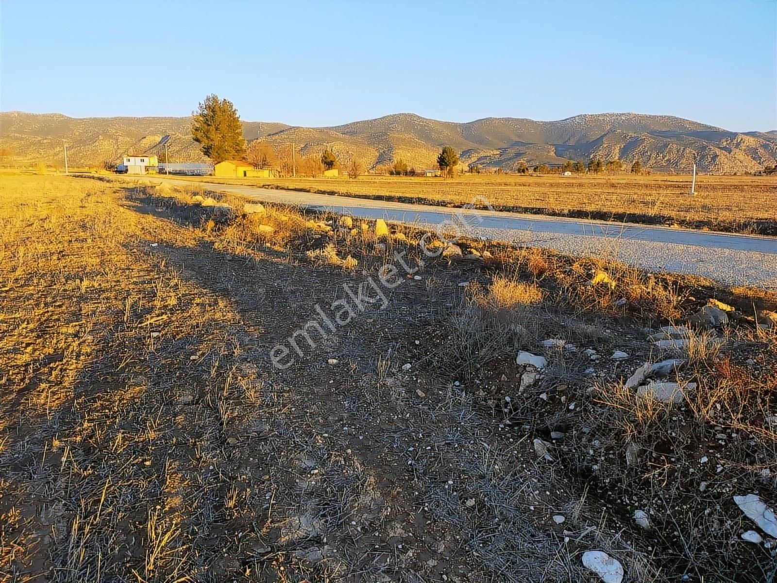 Antalya Korkuteli Büyükköyde Satılık Tarla 7700 M2 - Görsel 4