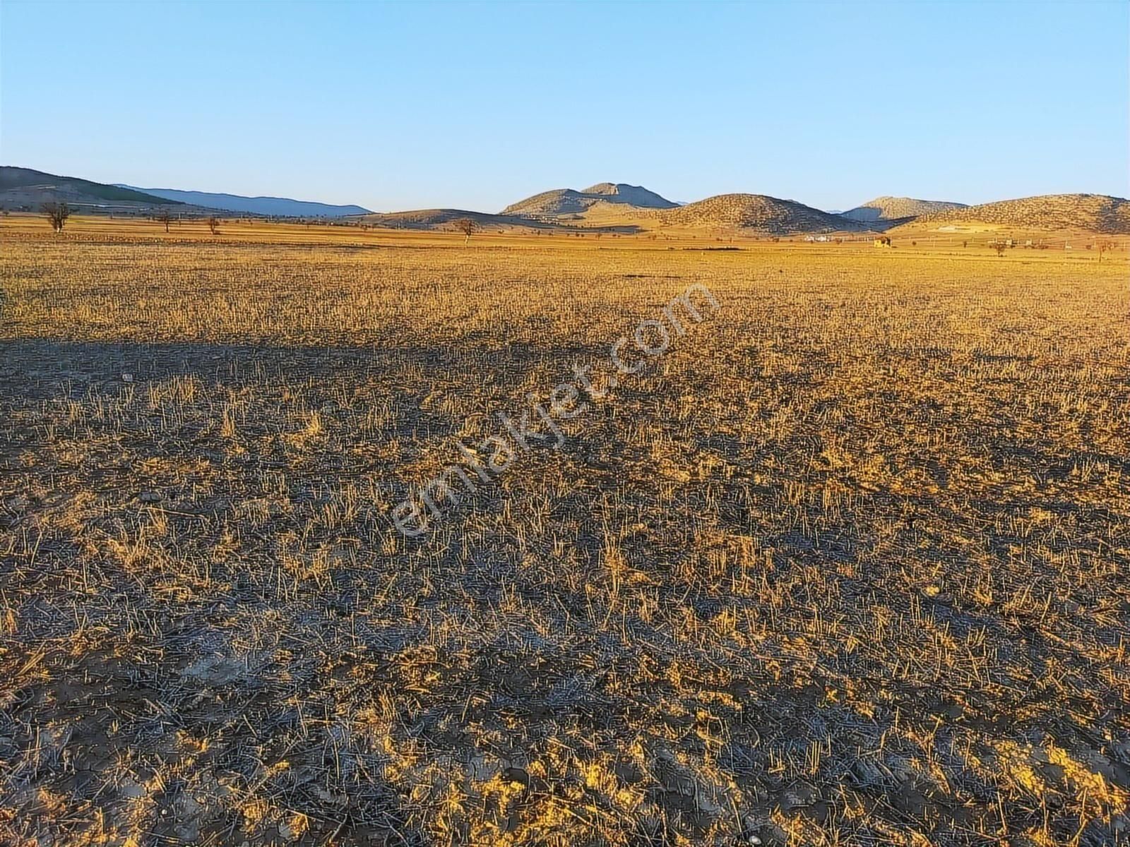 Antalya Korkuteli Büyükköyde Satılık Tarla 7700 M2 - Görsel 2