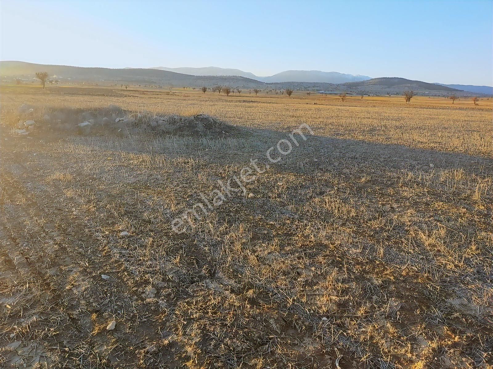 Antalya Korkuteli Büyükköyde Satılık Tarla 7700 M2 - Görsel 15