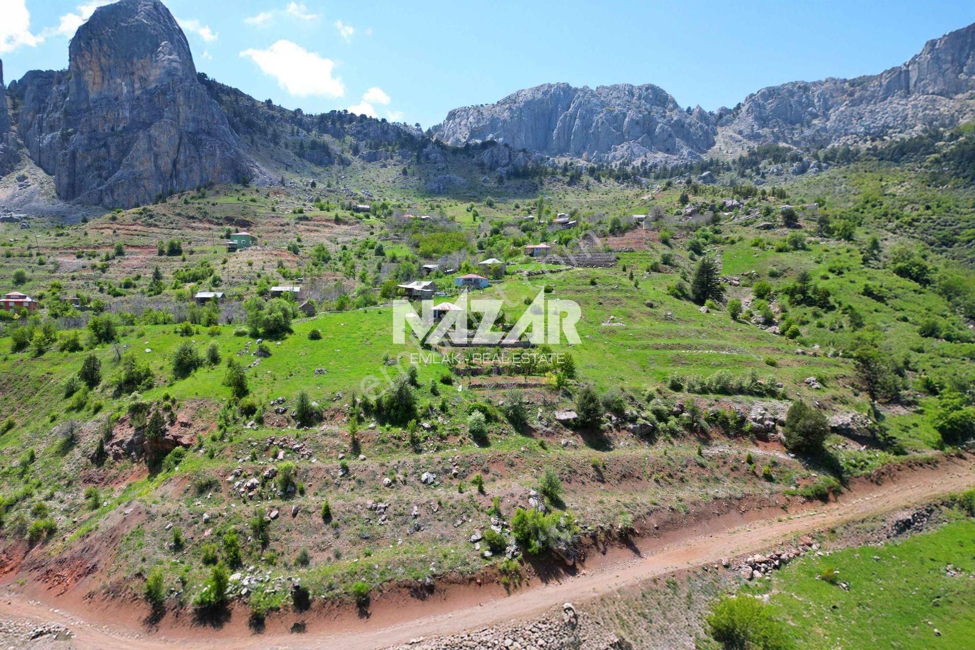 Alanya Şıhlar Yaylası'nda 1.116 M² Satılık Tarla