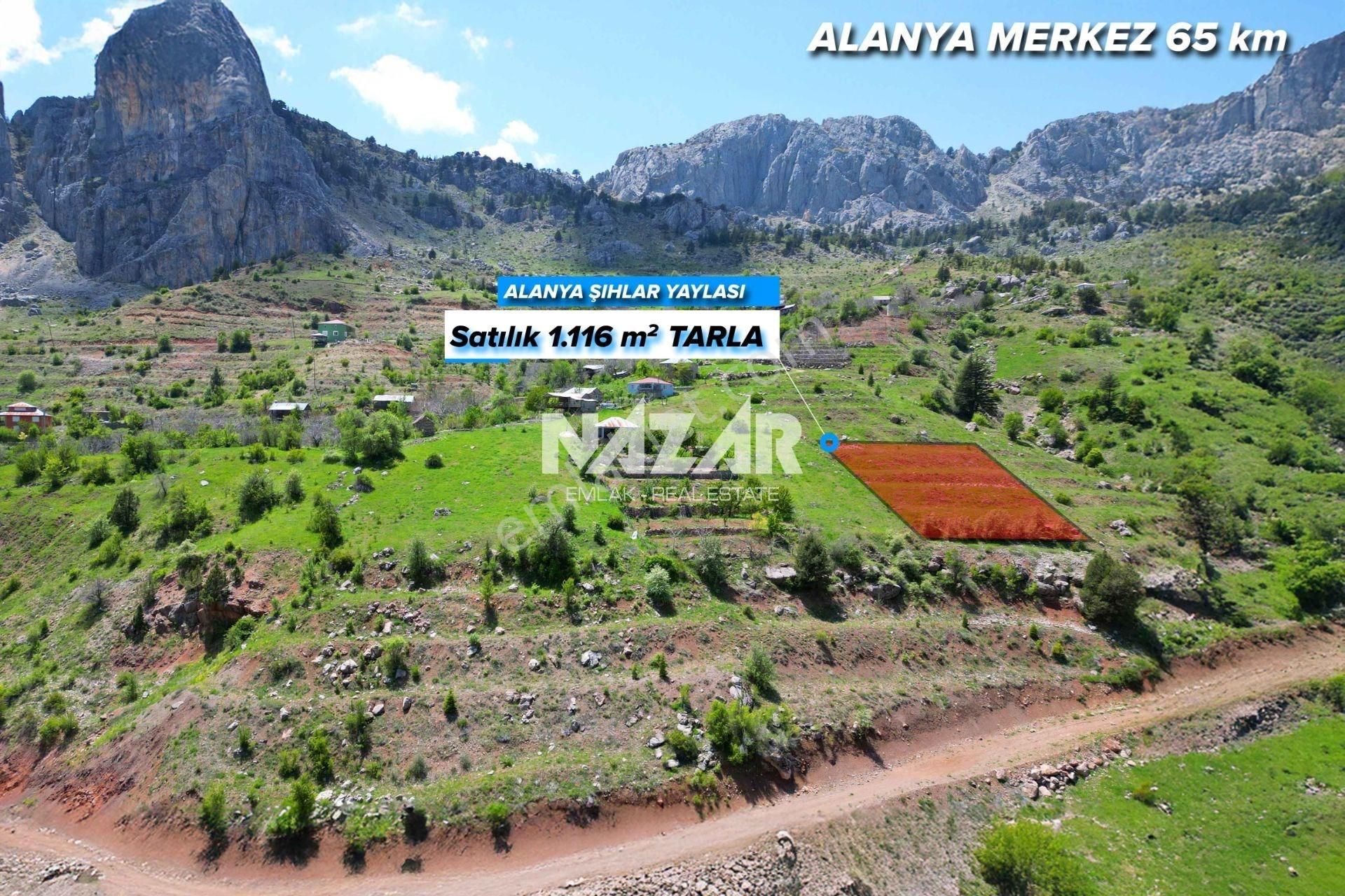 Alanya Şıhlar Yaylası'nda 1.116 M² Satılık Tarla - Görsel 2