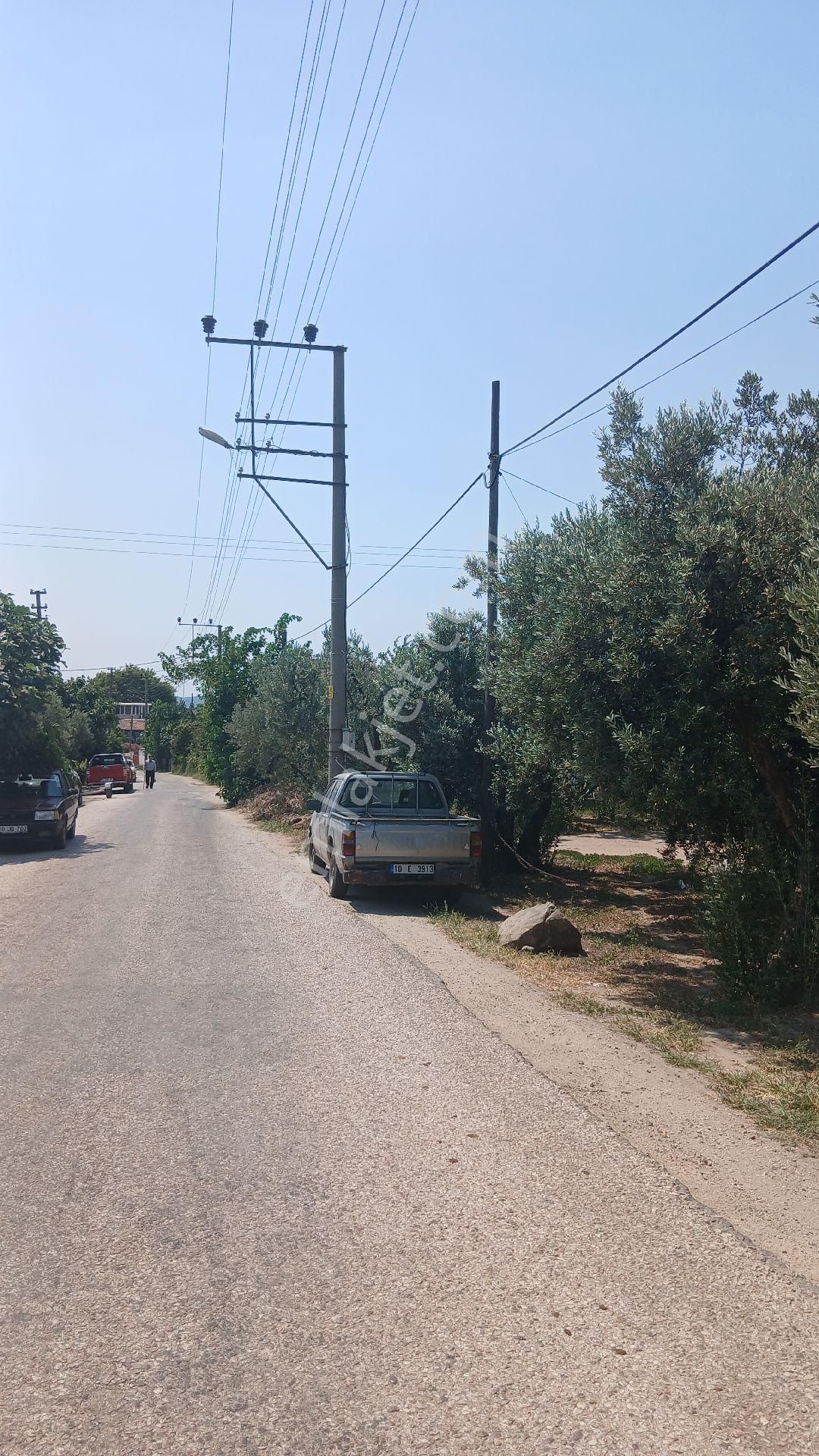 Bandırma Düzler Yukarıyapıcı Satılık - Görsel 9
