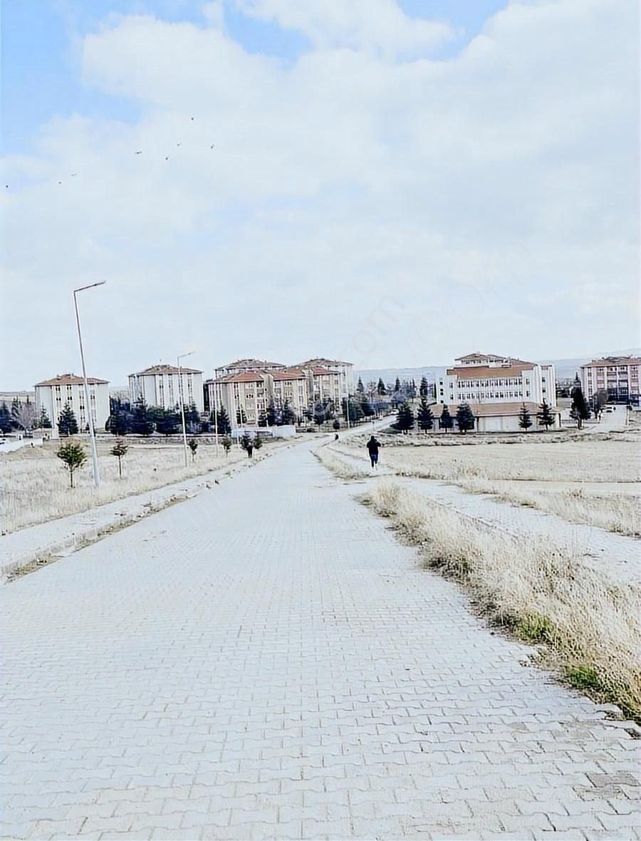 Deha'dan Kırıkkale Balışeyhde Satılık Tek Tapu Sanayi Arsası - Görsel 2