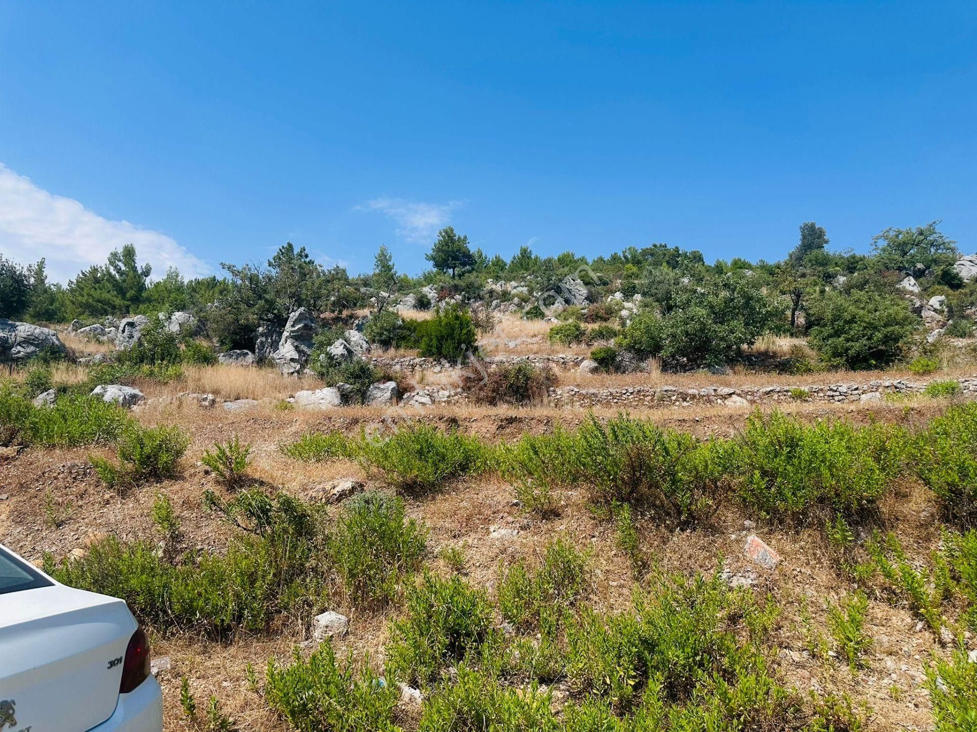 Alanya Gözübüyük Te Doğayla İç İçe Yatırımlık Satılık Arazi - Görsel 5