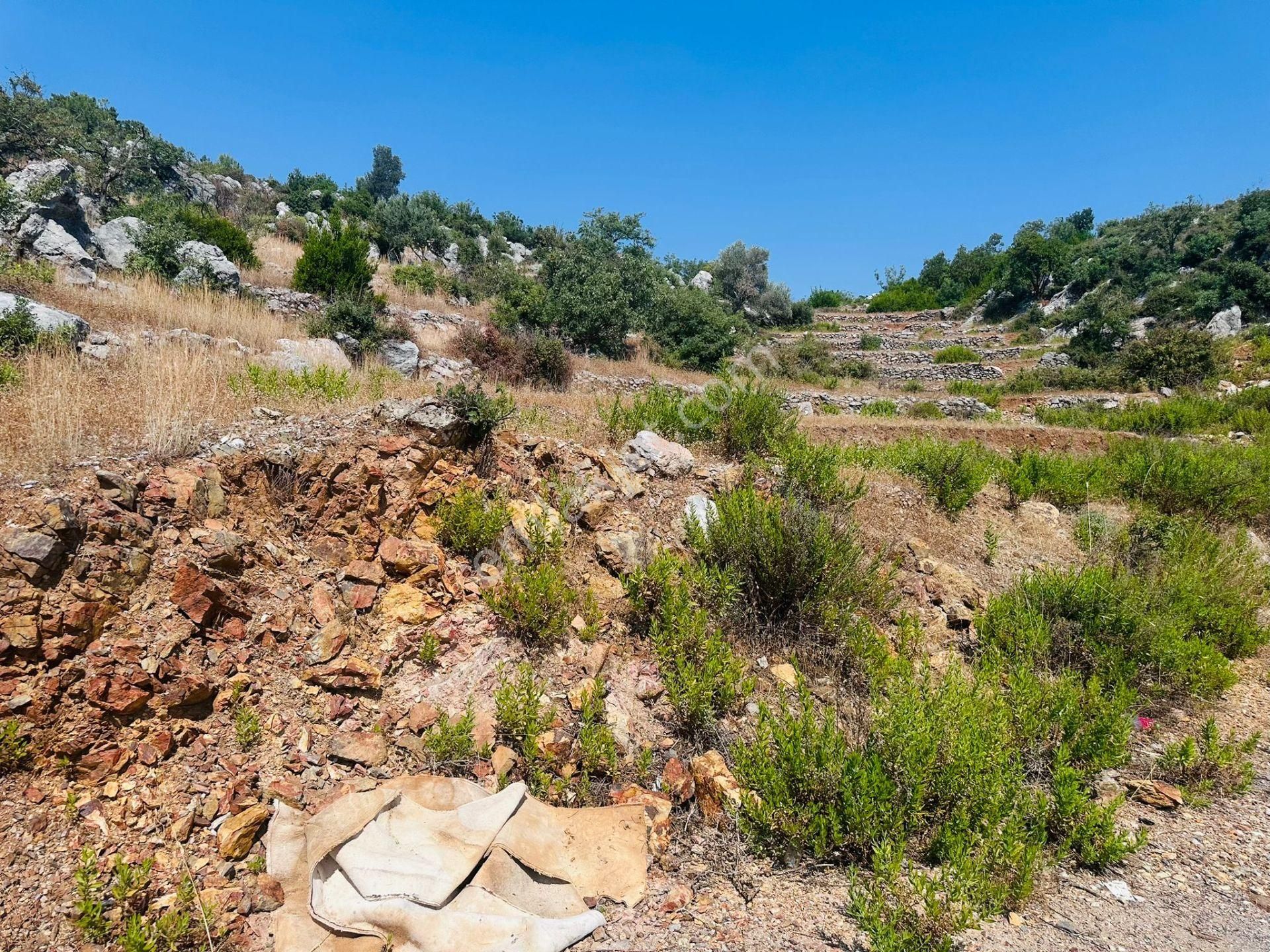 Alanya Gözübüyük Te Doğayla İç İçe Yatırımlık Satılık Arazi - Görsel 9