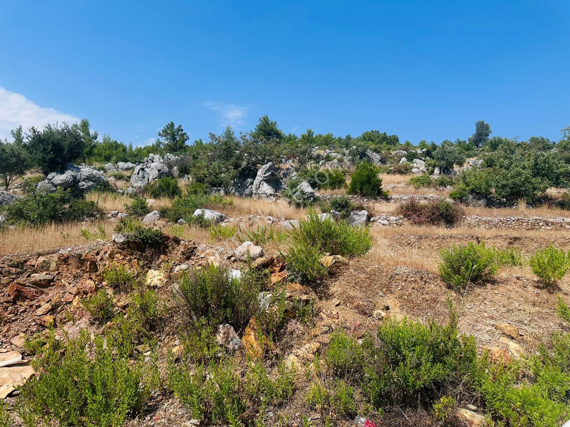 Alanya Gözübüyük Te Doğayla İç İçe Yatırımlık Satılık Arazi - Görsel 4