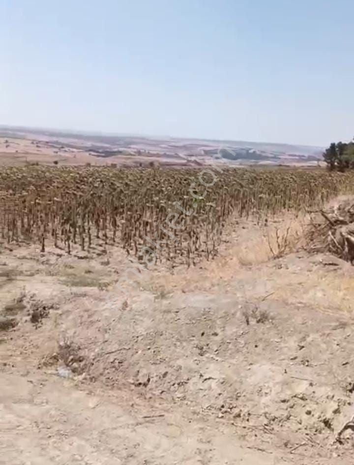 Edirne Uzunköprü Ekilebilir Yatırımlık Tarla