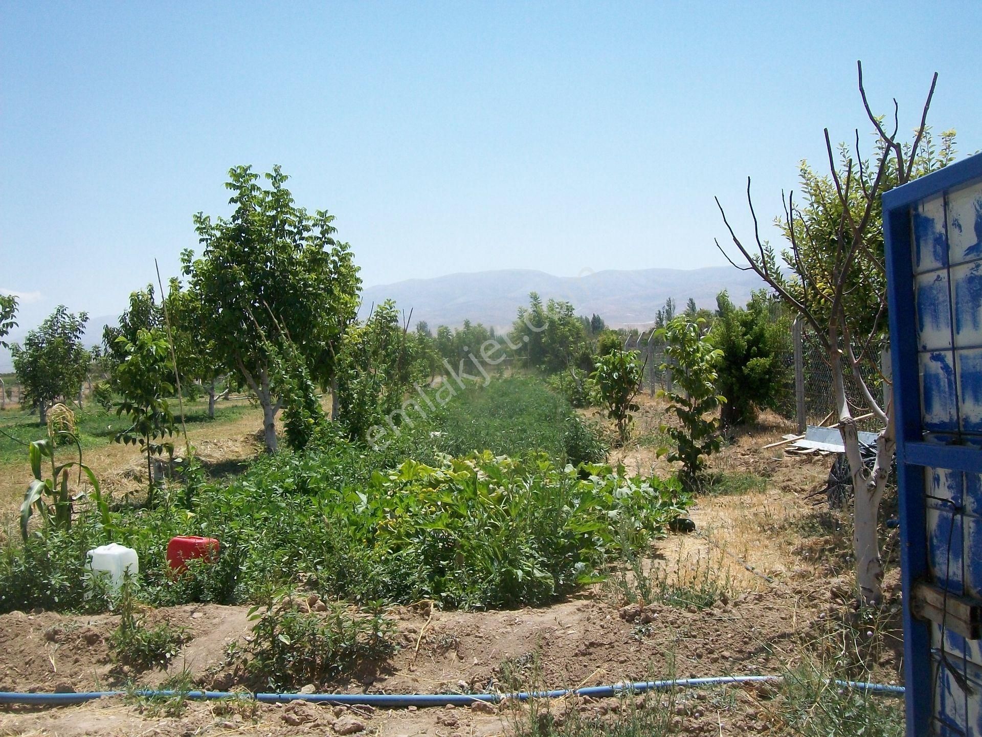 Konya Ereğli Çimencik Mah.de 122 Ada 36 Parselde Bahçeli.kuyu Ahırlı Ev Ve Arsası - Görsel 3