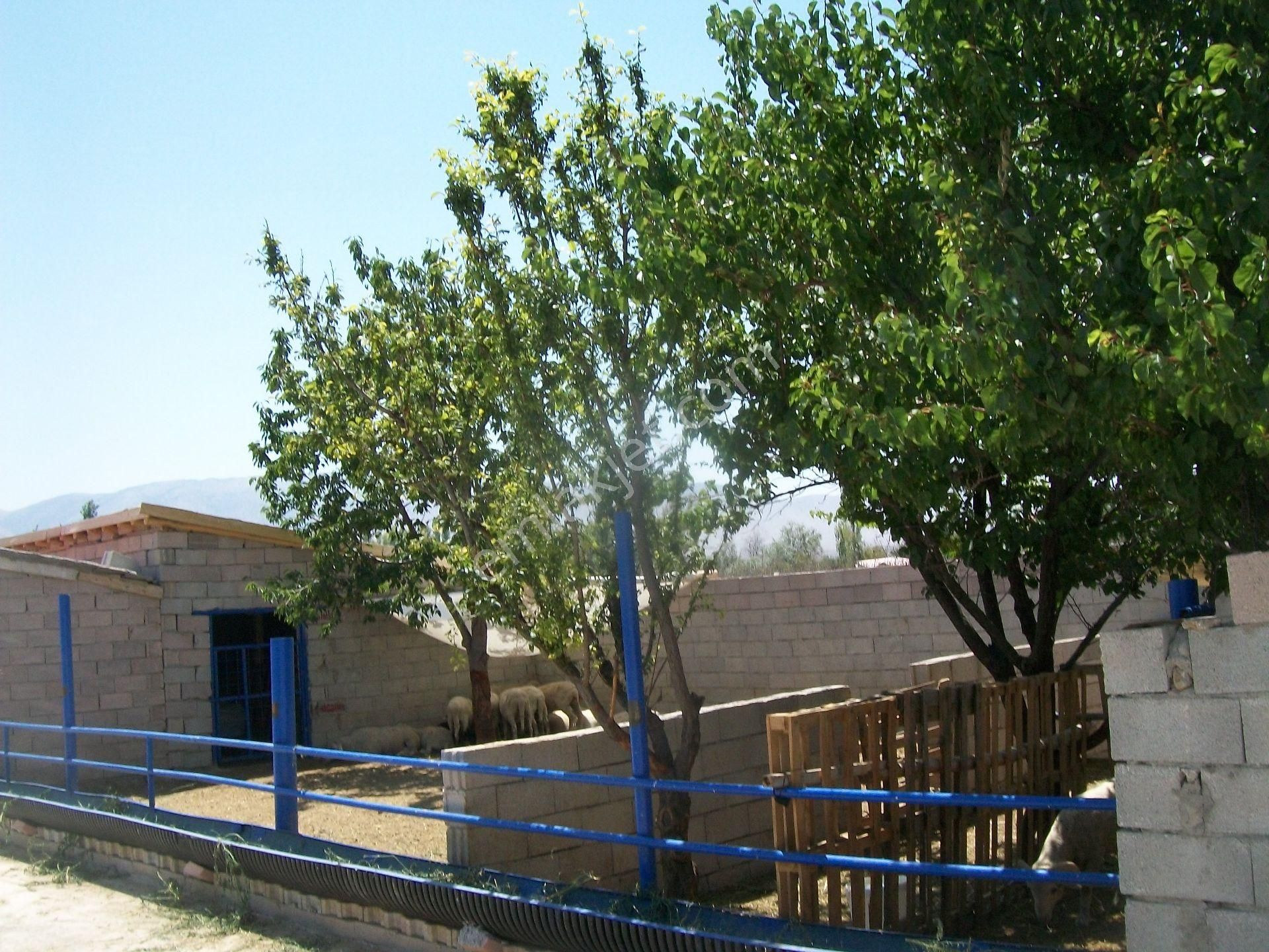 Konya Ereğli Çimencik Mah.de 122 Ada 36 Parselde Bahçeli.kuyu Ahırlı Ev Ve Arsası - Görsel 11