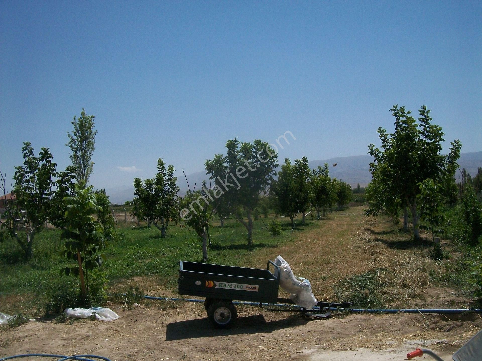 Konya Ereğli Çimencik Mah.de 122 Ada 36 Parselde Bahçeli.kuyu Ahırlı Ev Ve Arsası - Görsel 5