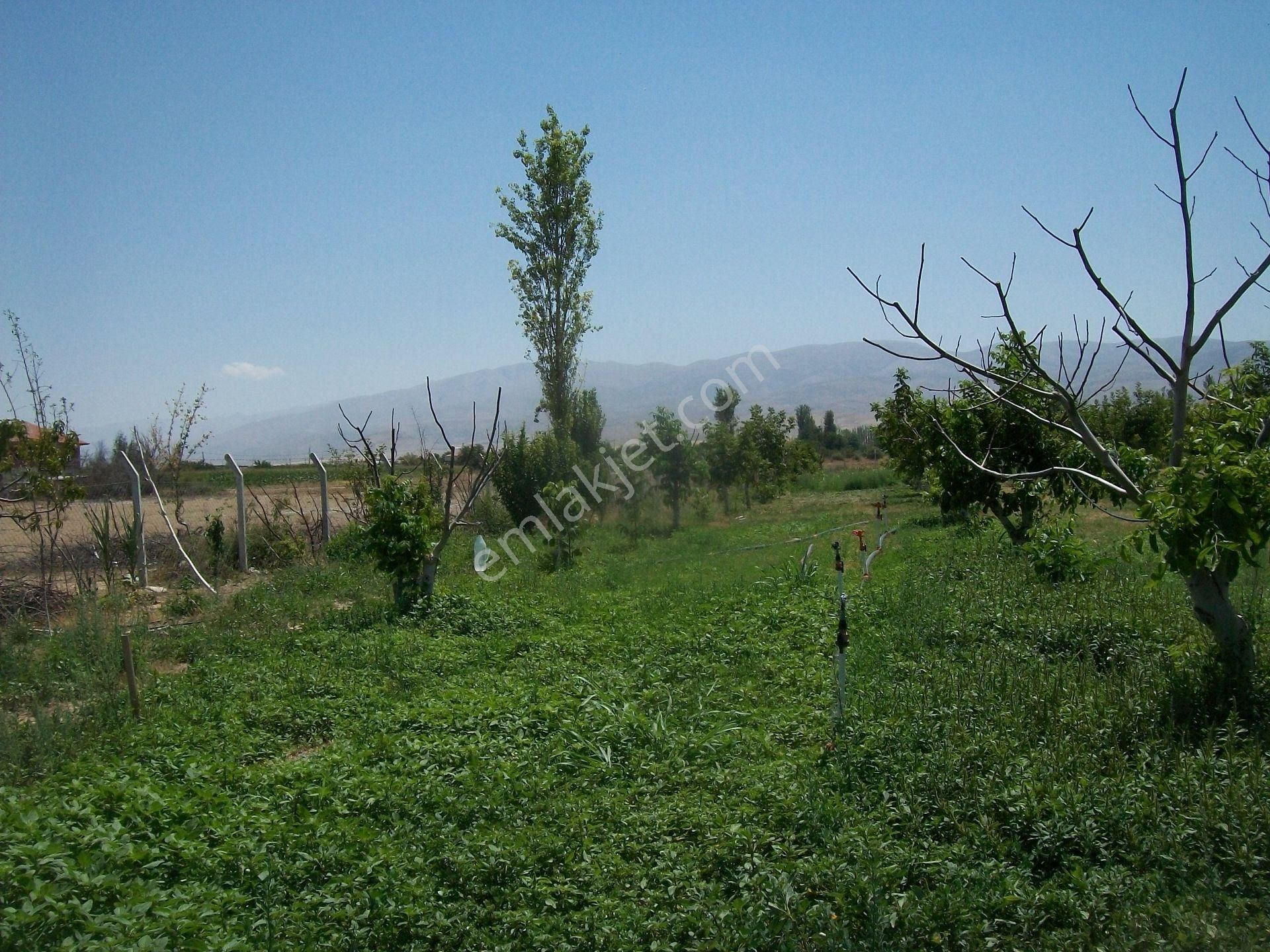 Konya Ereğli Çimencik Mah.de 122 Ada 36 Parselde Bahçeli.kuyu Ahırlı Ev Ve Arsası - Görsel 8