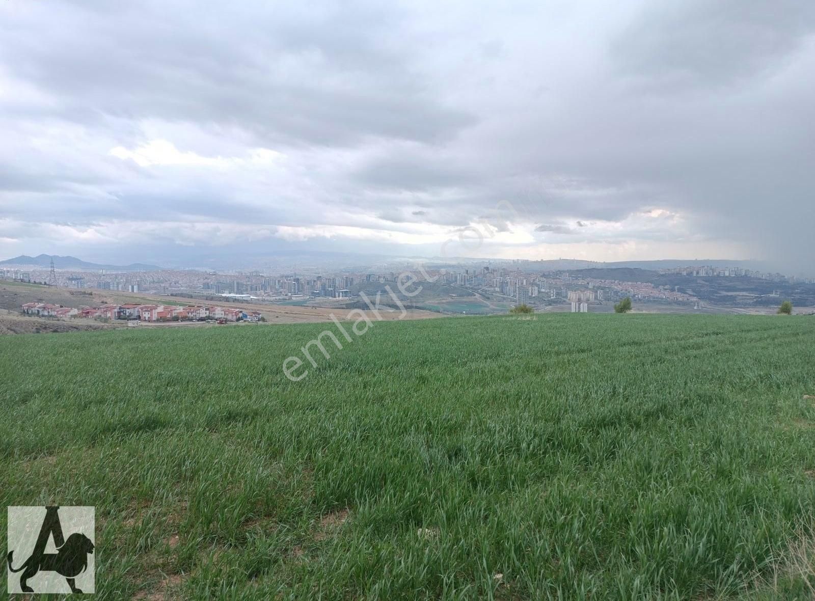 Ali Bey'den Kuzey Yıldızı Cadde Üzeri Konut+ticari 281 M2 Hisse