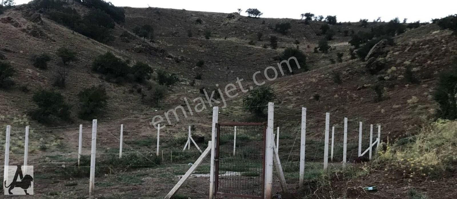 Yuva 152/1 'de Telle Çevrili Yol Kenarı 200 M2 Arsamız