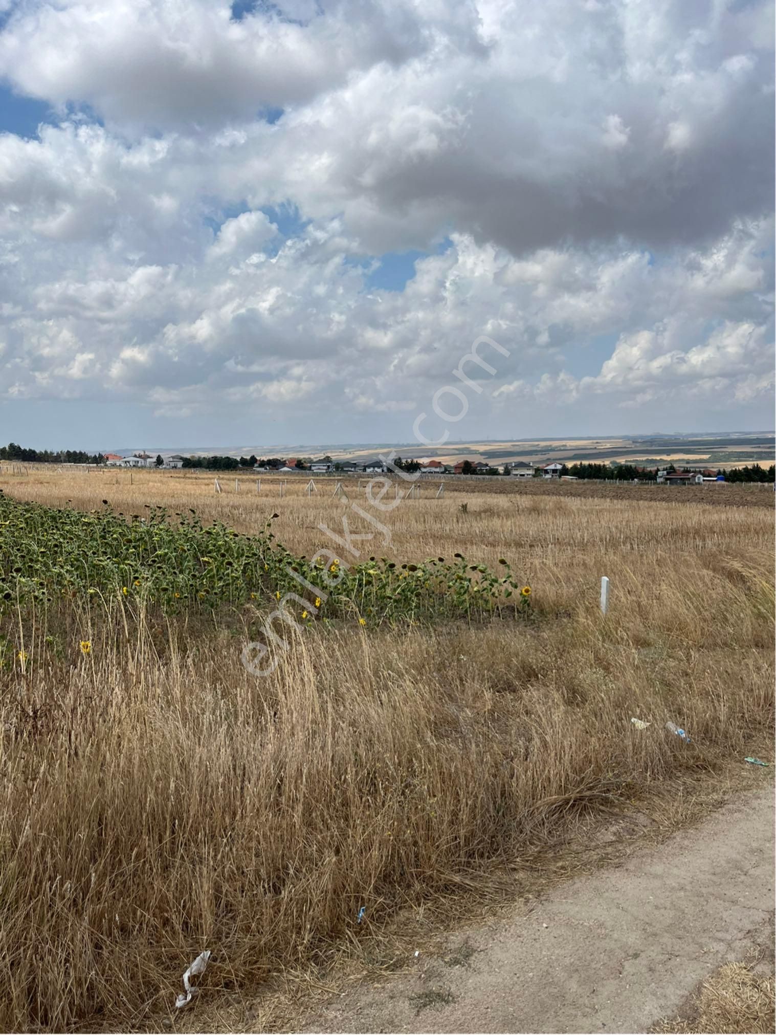 Silivri Balabanda Villaların Dibinde İmarlı Arsalar