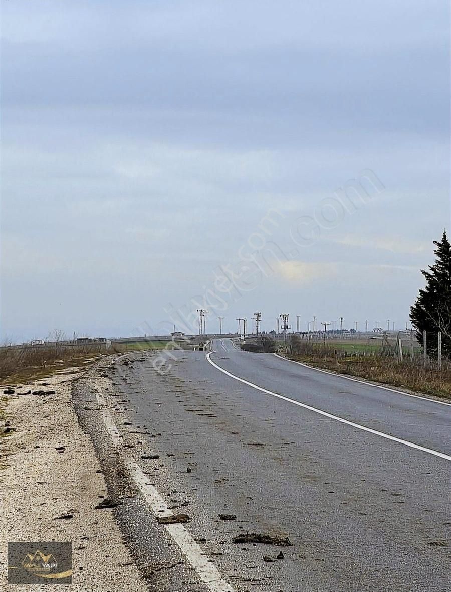 Asfalta Cephe 1308 M Yatırımlık Arsa - Görsel 12