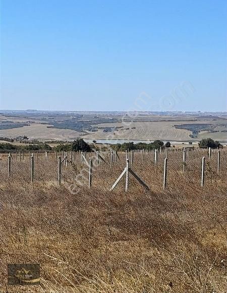 Asfalta Cephe 1308 M Yatırımlık Arsa - Görsel 4