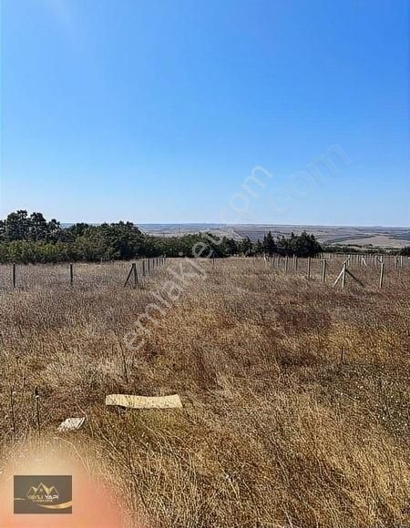 Asfalta Cephe 1308 M Yatırımlık Arsa - Görsel 3