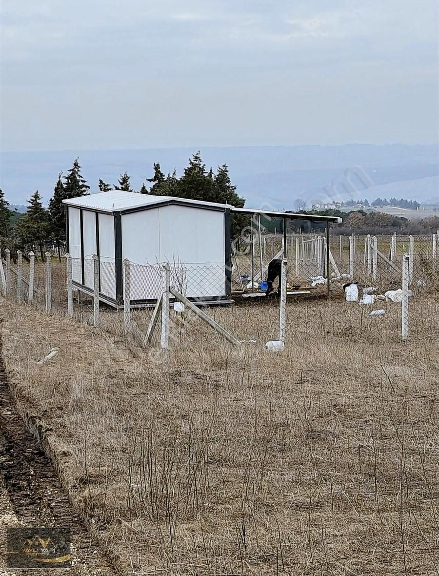 Asfalta Cephe 1308 M Yatırımlık Arsa - Görsel 10