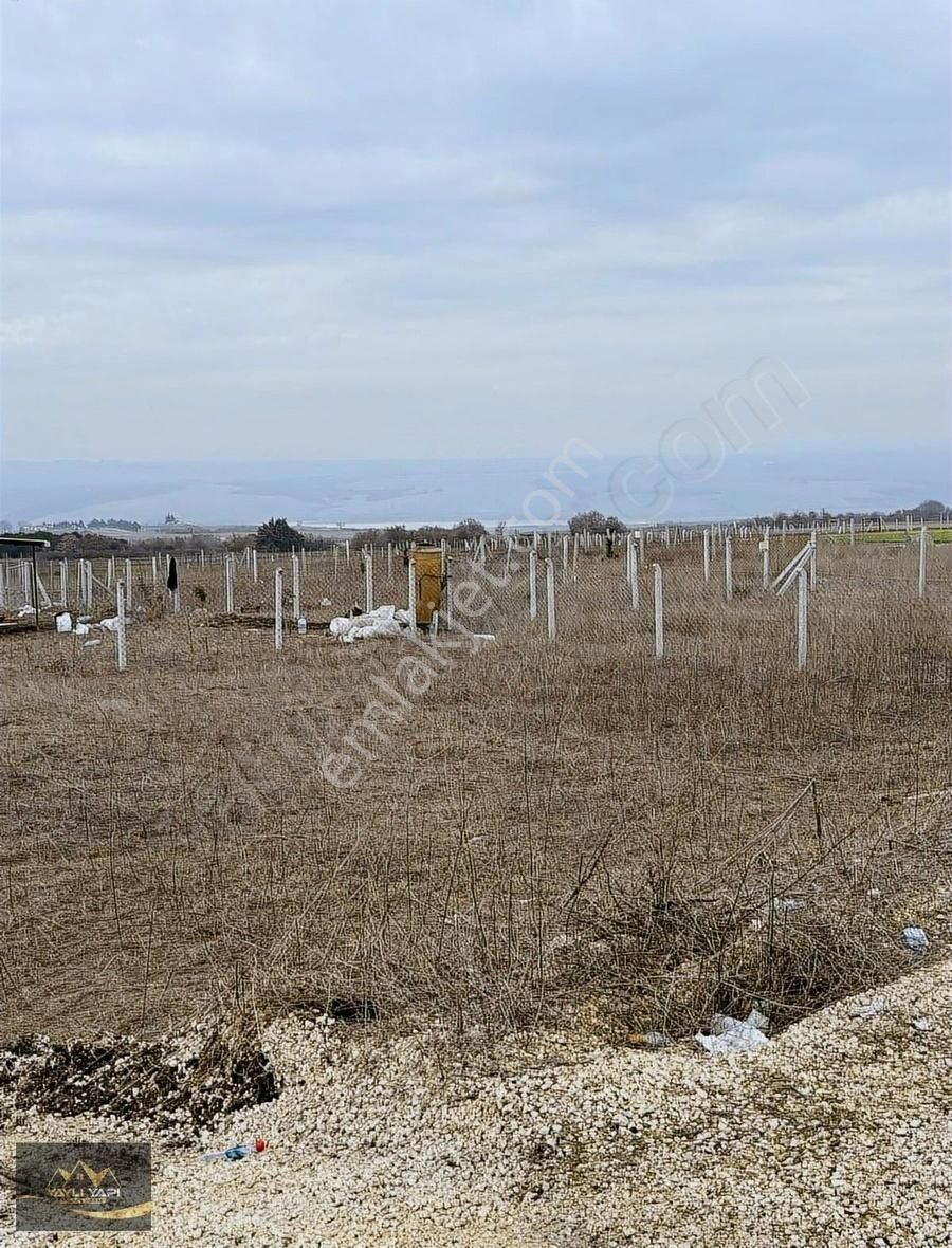 Asfalta Cephe 1308 M Yatırımlık Arsa - Görsel 8