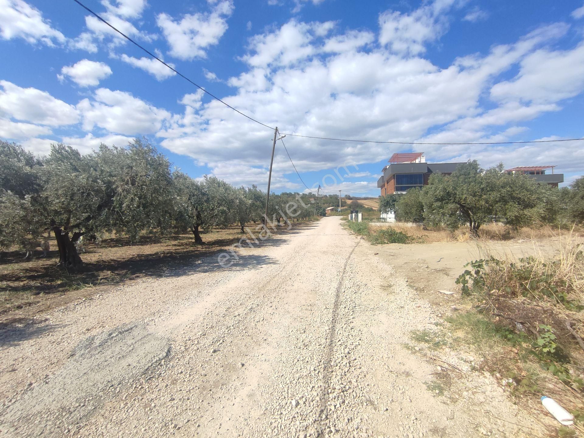 Bulut Yatırımdan 410 M² % 20 İmarlı Kovalıkta Köşe Parsel Arsa - Görsel 29