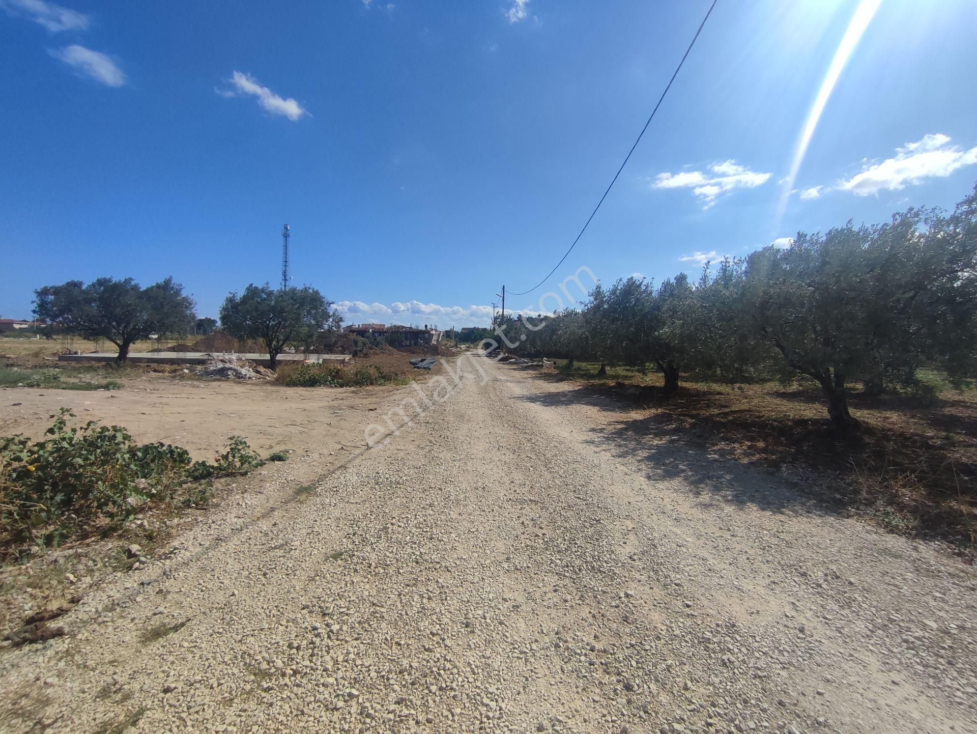 Bulut Yatırımdan 410 M² % 20 İmarlı Kovalıkta Köşe Parsel Arsa - Görsel 22