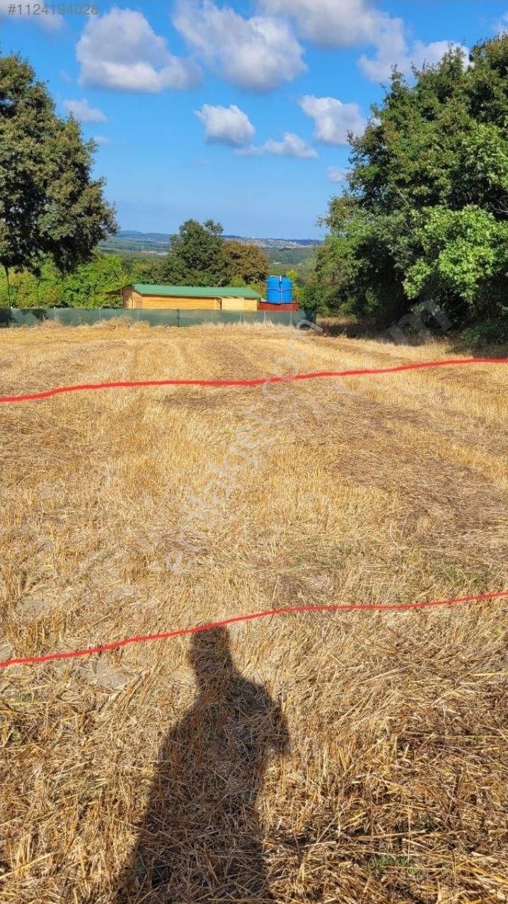 Arac Takasi Olur Sahibinden 575 M2 İstanbul Çatalca Da Yatırımlik Fırsat Tarla