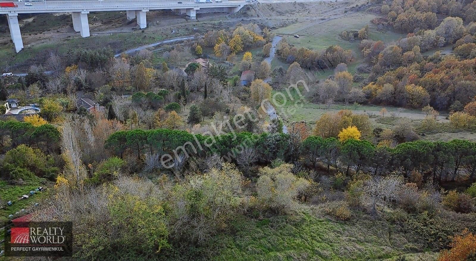 *realty World* Uskumruköyde Kiralık 14 Dönüm Çiftlik Arazisi - Görsel 14