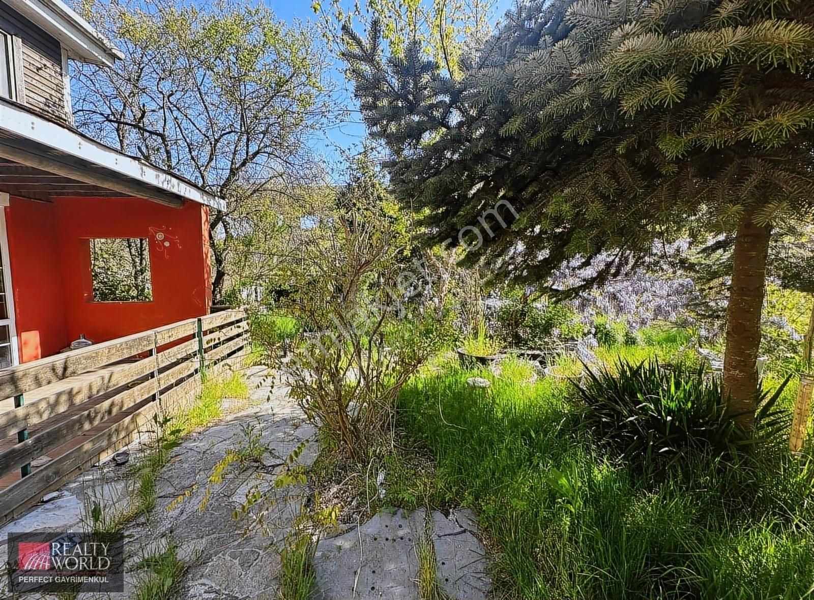 *realty World* Uskumruköyde Kiralık 14 Dönüm Çiftlik Arazisi - Görsel 24