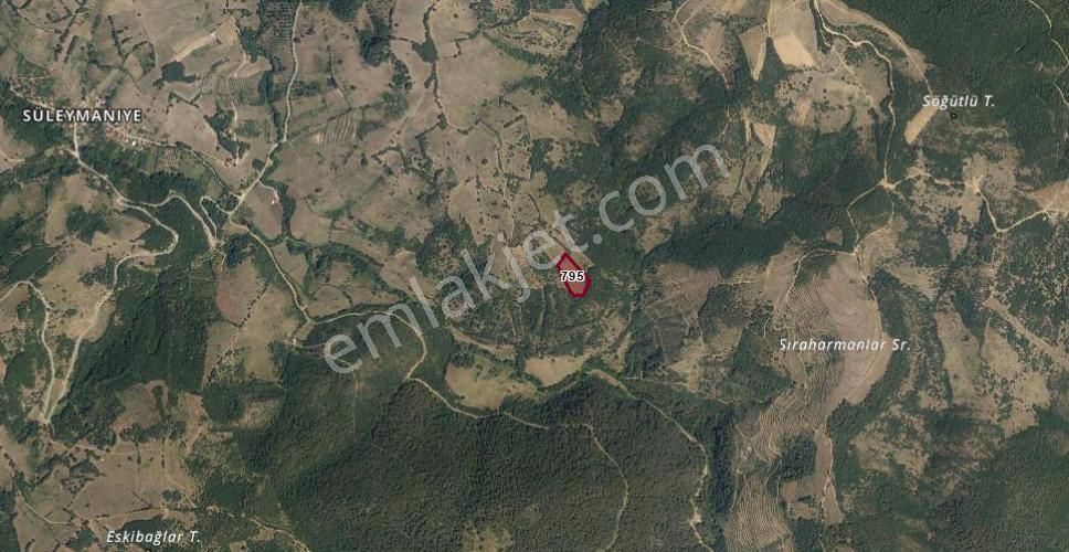 Bursa İznik Mecidiye 7638 M2 Satılık Tarla - Görsel 5