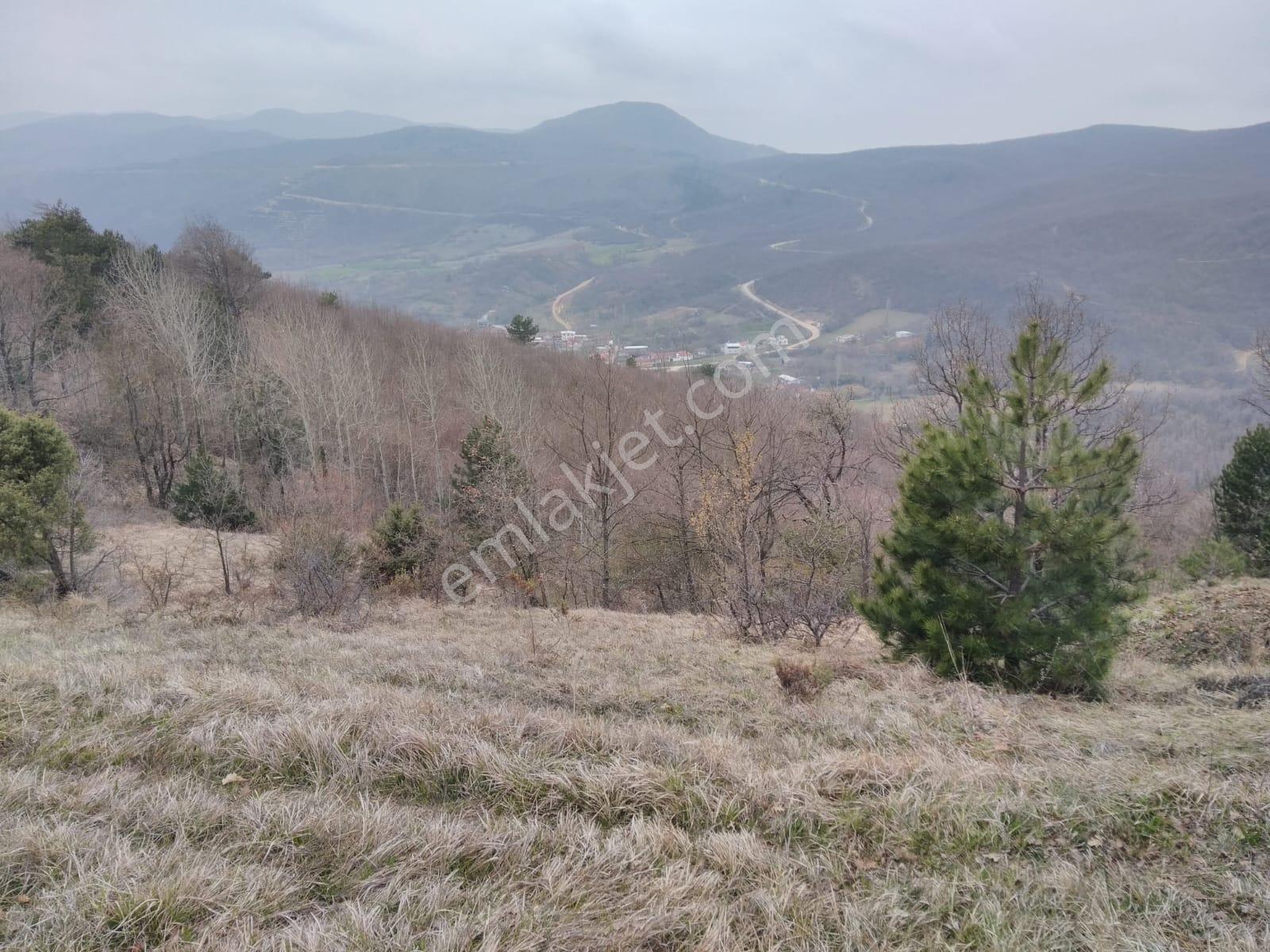 Bursa İznik Mecidiye 7638 M2 Satılık Tarla - Görsel 9