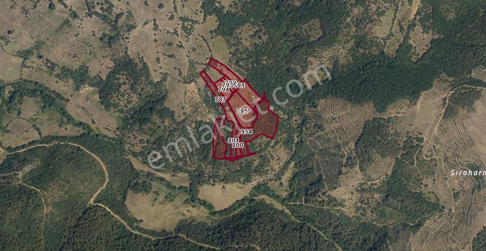 Bursa İznik Mecidiye 7638 M2 Satılık Tarla - Görsel 7