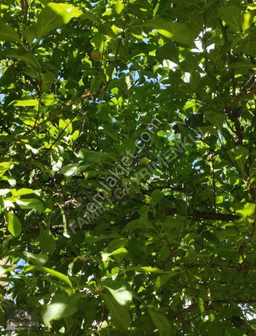 Kapaklı Yıldız Kente 2+1 70 M2 Satılık Daire
