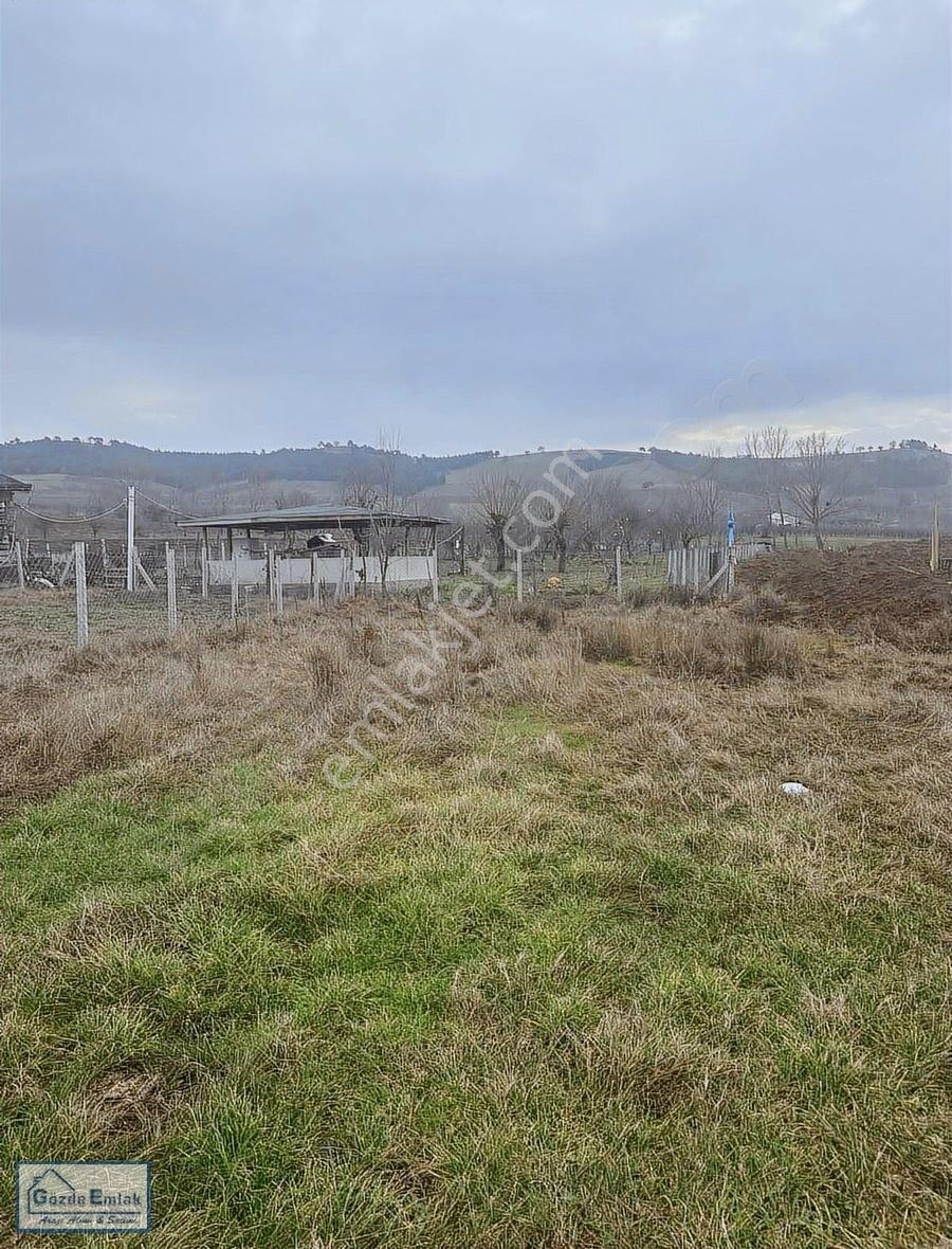Gözde Emlak Taraklı Hacıyakup Asfalt Kenarı % 40 İmarlı Arsa - Görsel 11