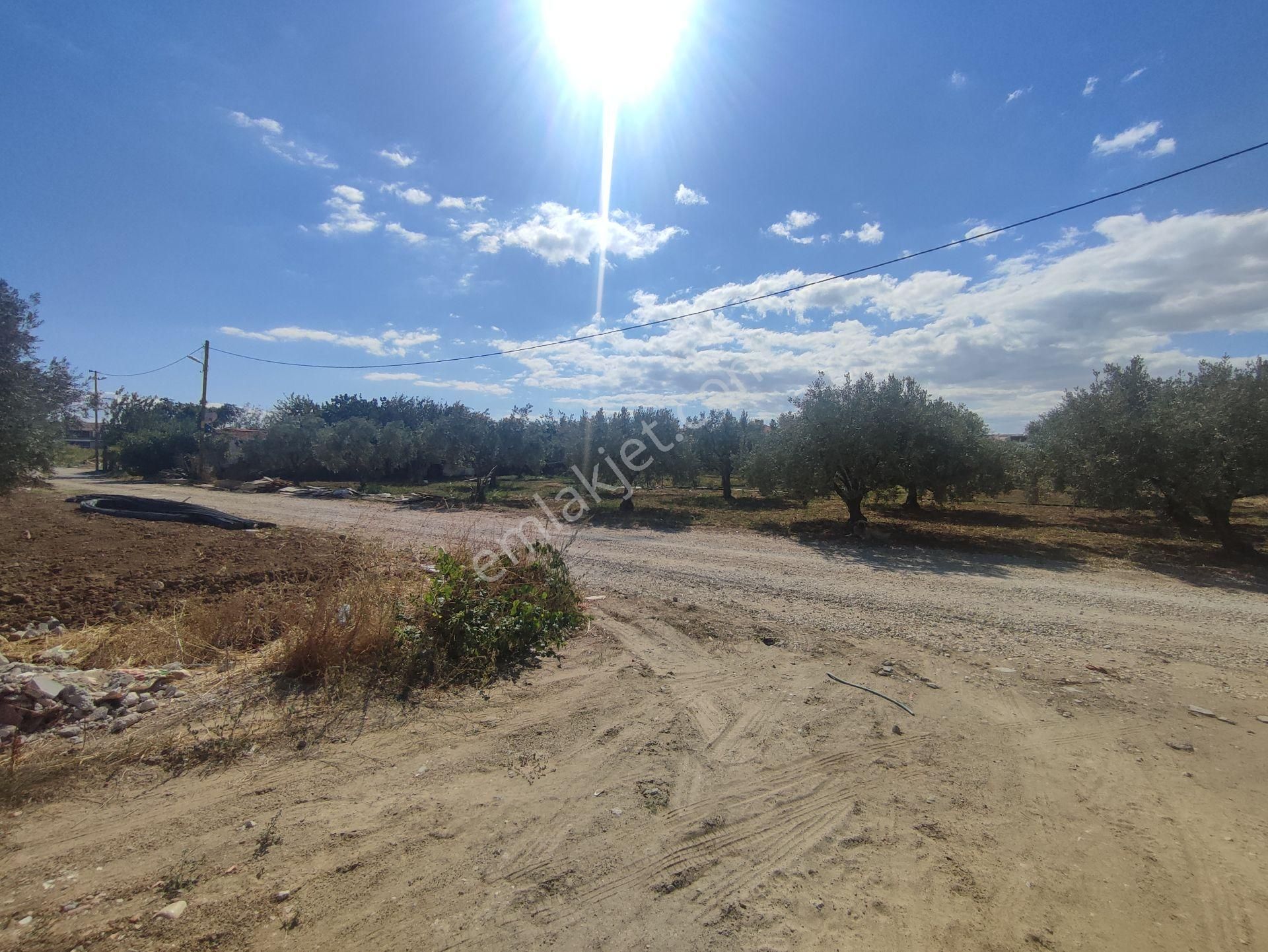 Bulut Yatırımdan 820 M² % 20 İmarlı Kovalıkta Köşe Parsel Arsa - Görsel 5