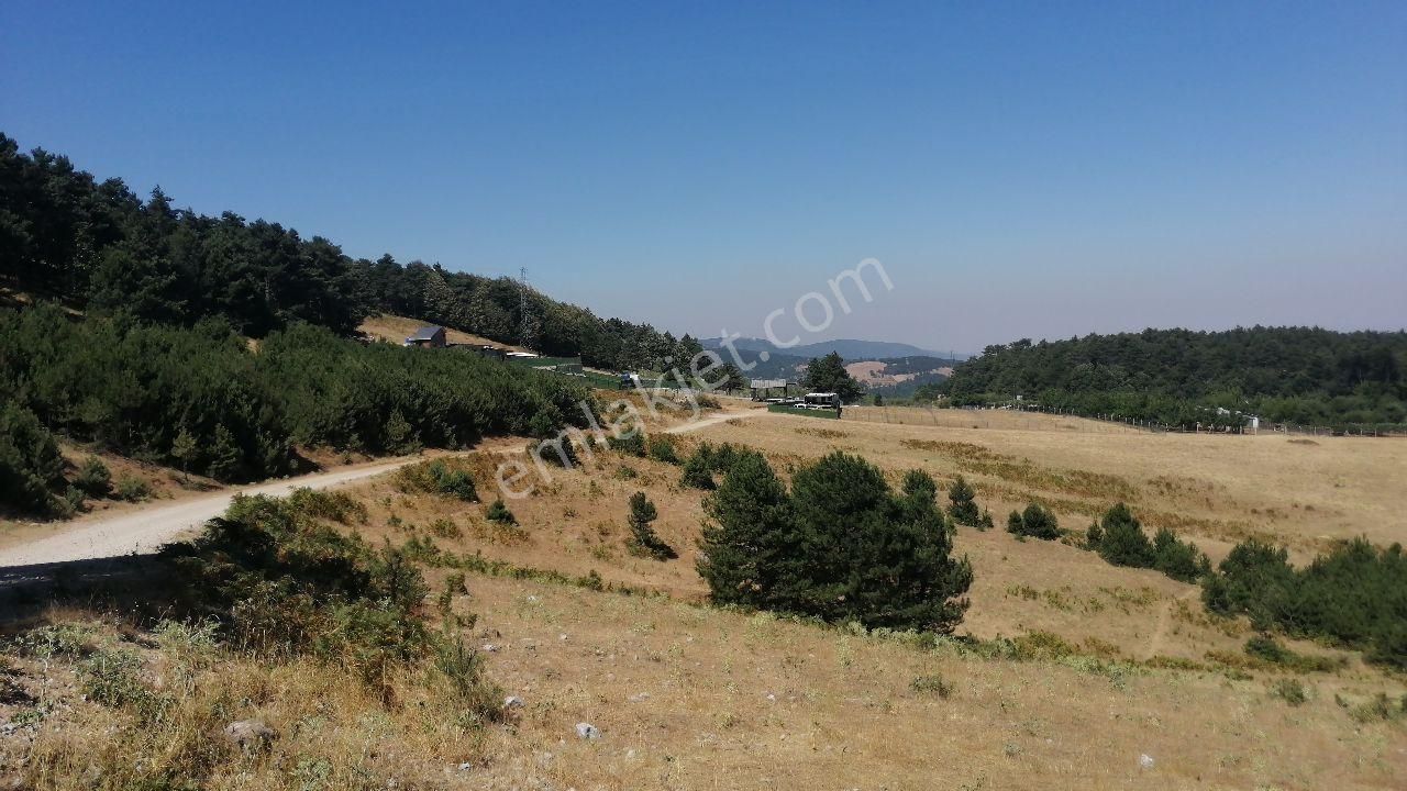 Bursa Osmangazi Tuzaklı Köyün De Satılık Tarla 11.046 M2 - Görsel 2