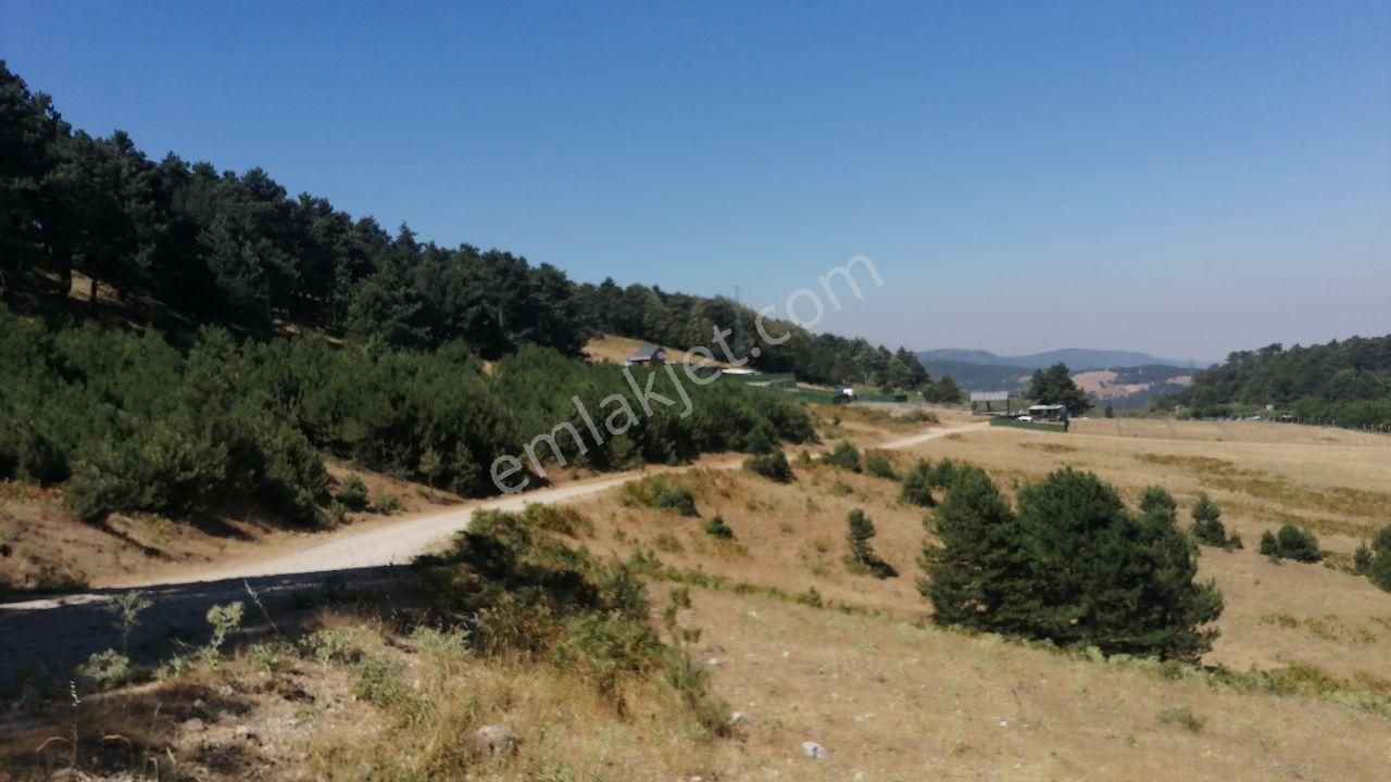 Bursa Osmangazi Tuzaklı Köyün De Satılık Tarla 11.046 M2 - Görsel 19