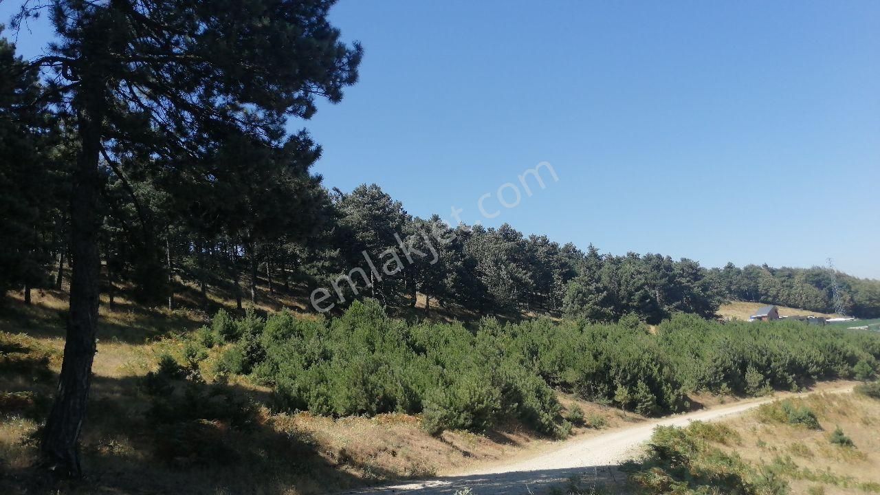 Bursa Osmangazi Tuzaklı Köyün De Satılık Tarla 11.046 M2 - Görsel 18