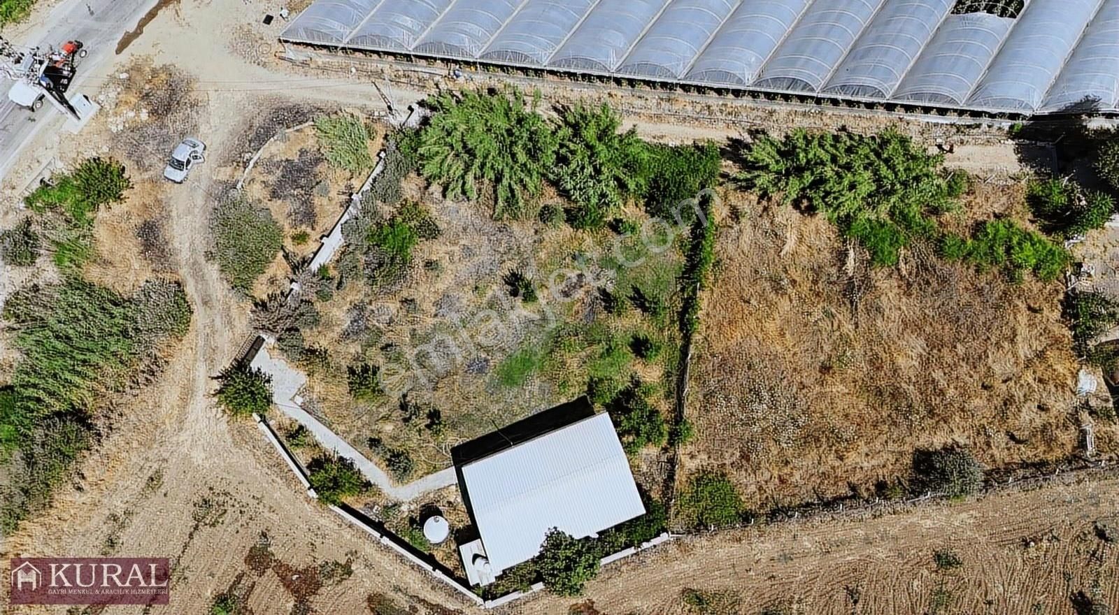 İzmir Menderes Çilemede 1+1 Evi Elektrik Su Abonelikleri 900 M2 - Görsel 6