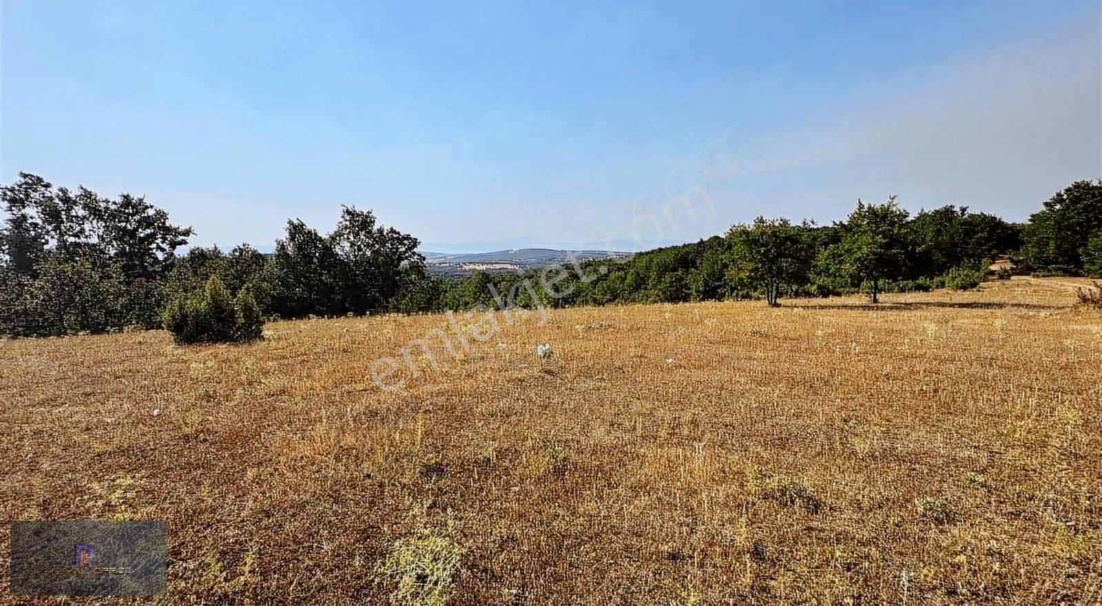 Royal Office Den İnegöl Bayramşah Ta Yatırımlık Satılık Tarla