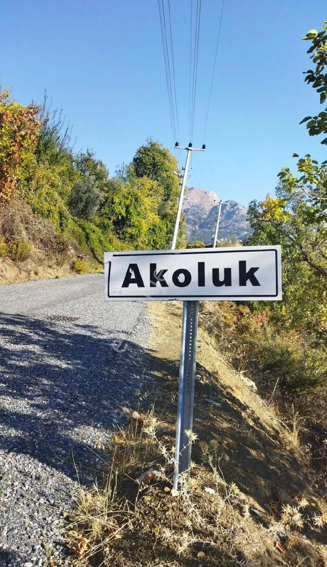 Antalya Gazipaşa Akoluk 426 M2 - Görsel 4