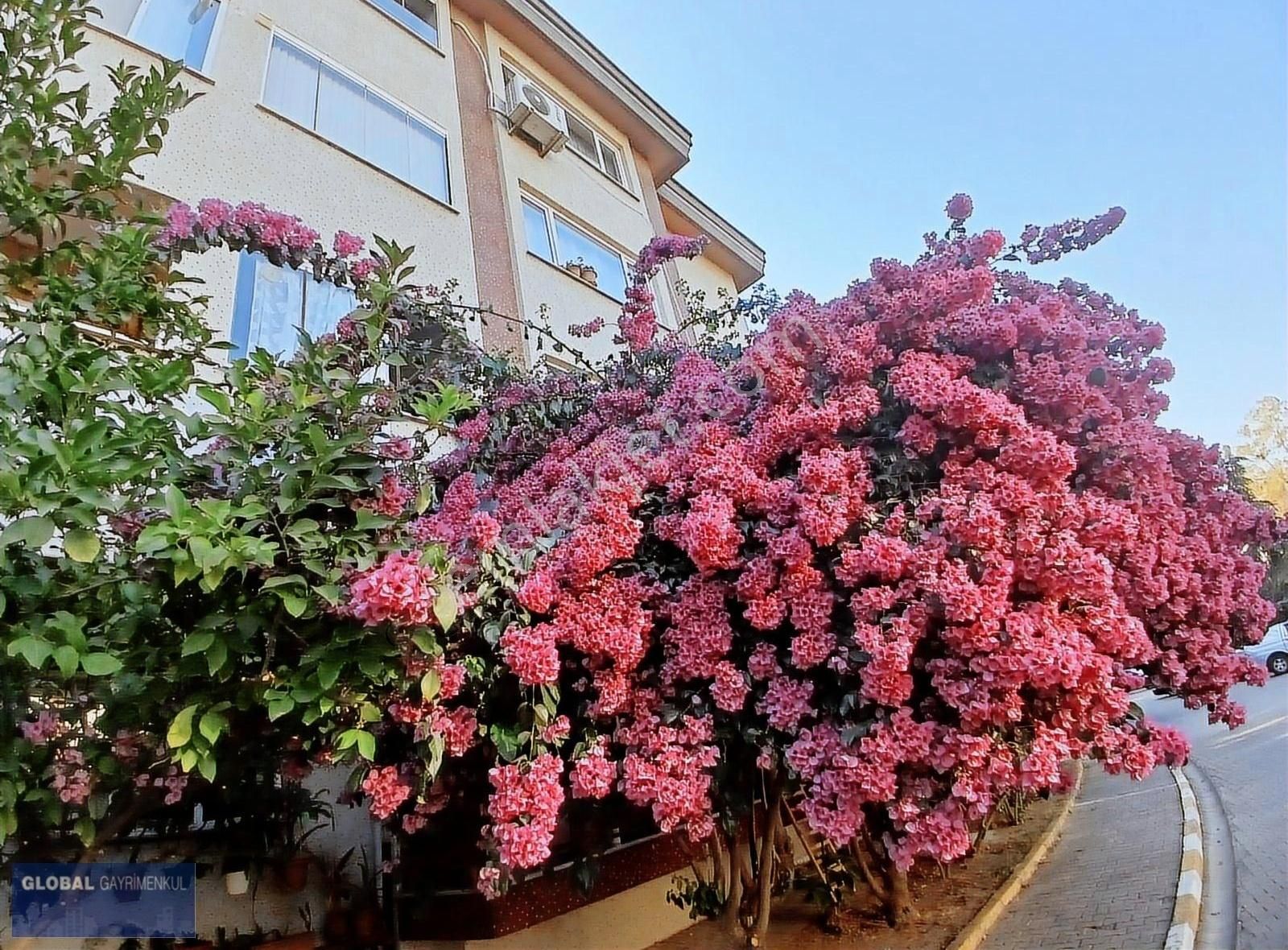 Global'den Yayla Mah'de Site İçinde Geniş Kiracısız 3+1 Daire - Görsel 13