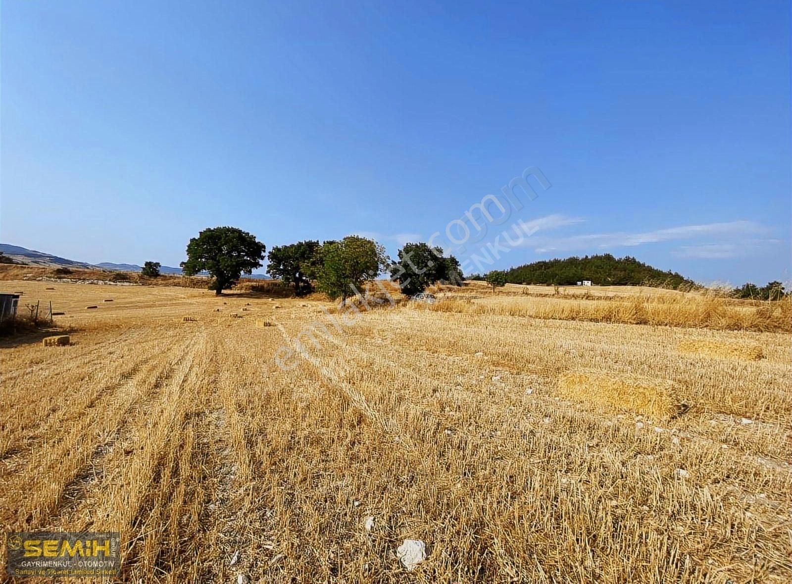 Semih'den Ebeköyde Köye 200 Metre Şehir Köy Manzaralı Arazi - Görsel 4