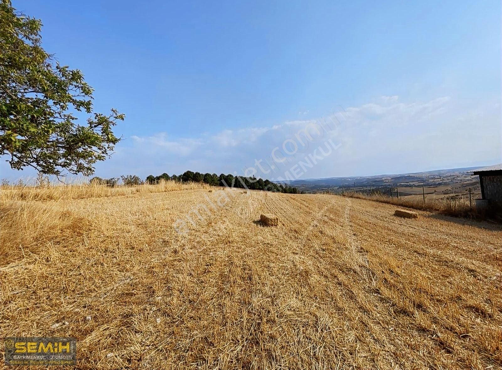 Semih'den Ebeköyde Köye 200 Metre Şehir Köy Manzaralı Arazi - Görsel 3