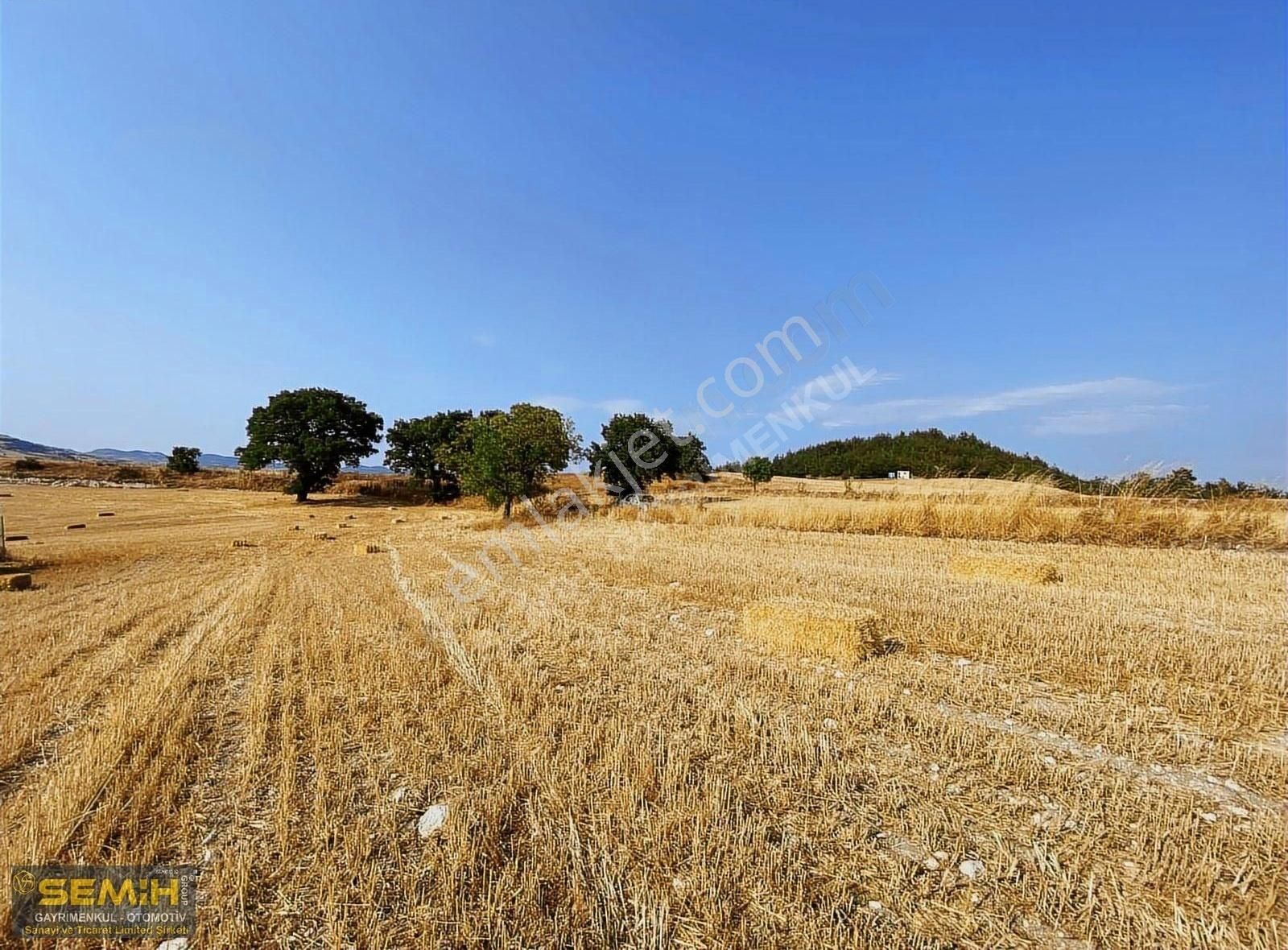 Semih'den Ebeköyde Köye 200 Metre Şehir Köy Manzaralı Arazi - Görsel 2