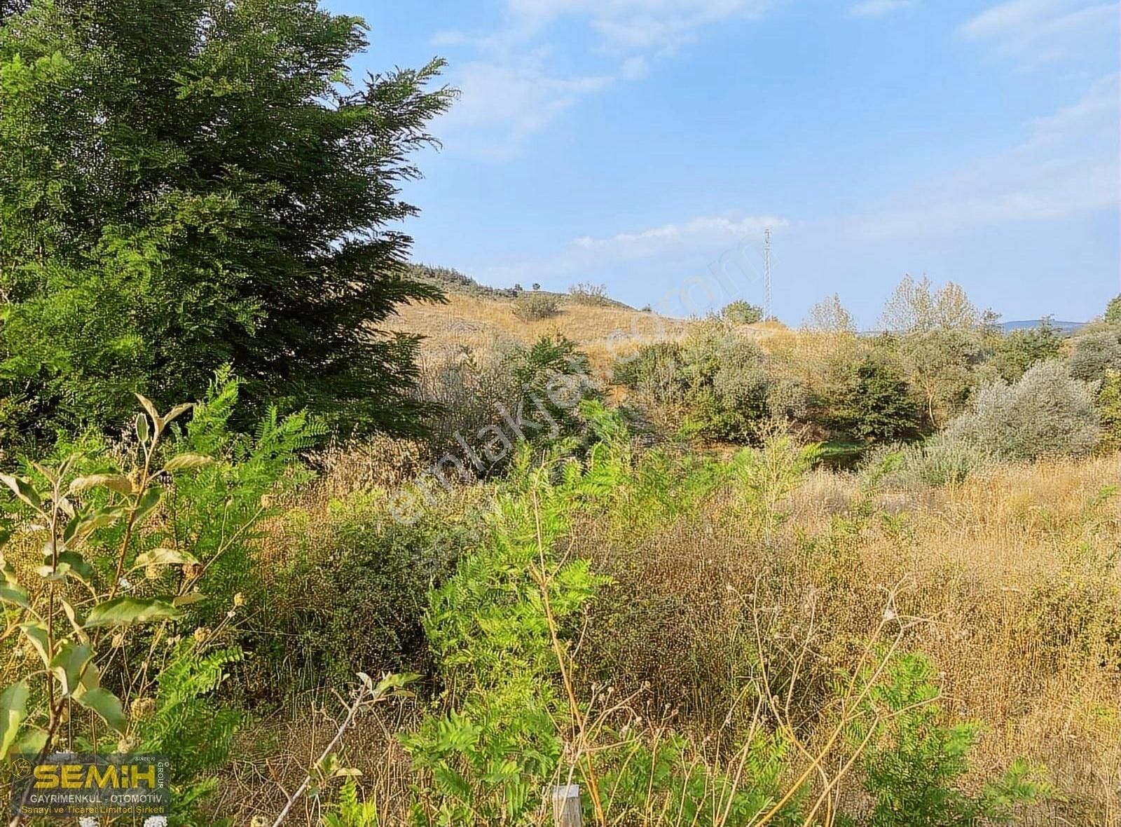 Semih'den Ebeköyde Göksu Cayına Sıfır Tam Bir Hobilik Bahçe - Görsel 3